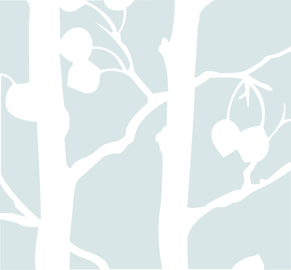 Group+3 (2).png