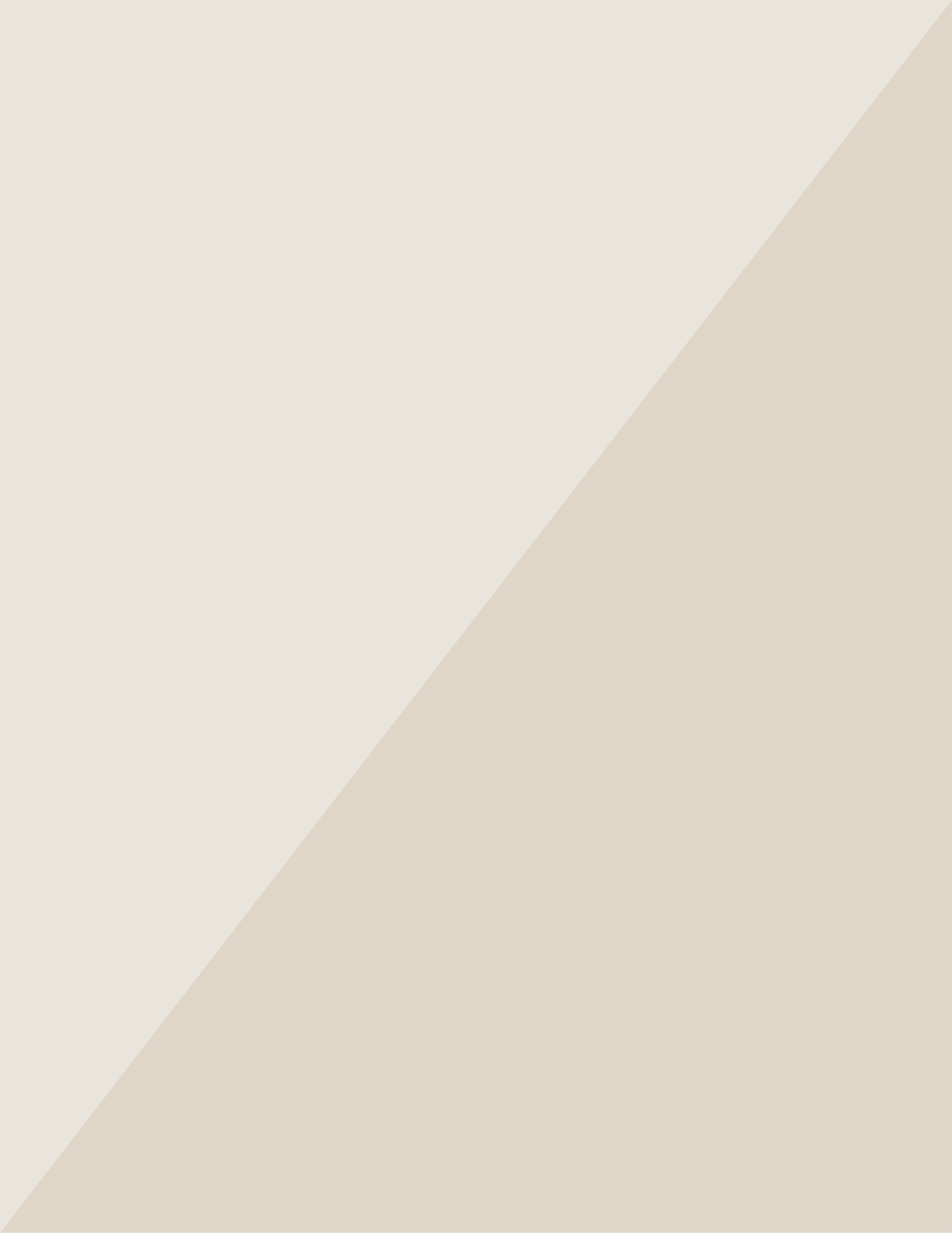Pattern@4x.png